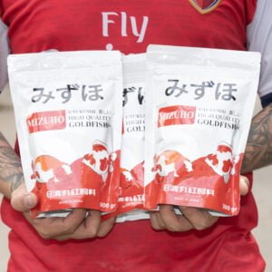 shop heo nuoc chuyen mua ban cam mizuho cho ca vang